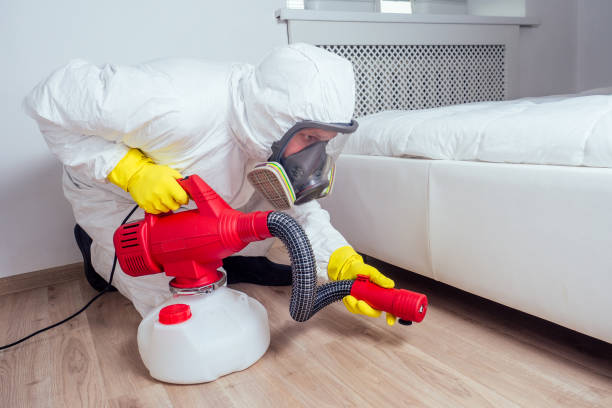 Best Local Pest Control Services  in Maple Lake, MN